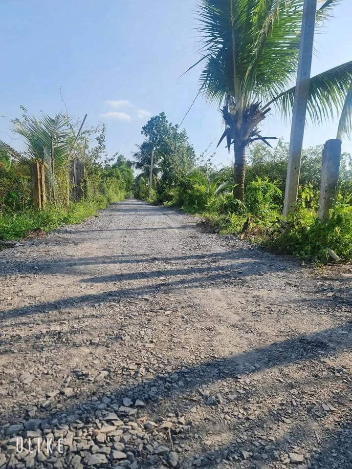 Đất vườn Thạnh Hòa, Bến Lức 2000m² giá chỉ 545 triệu - Sổ hồng chính chủ!