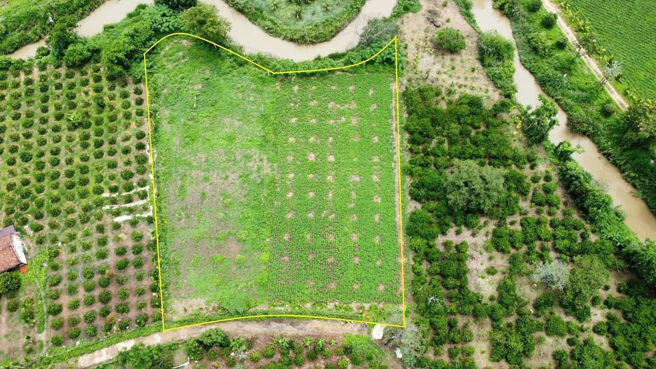 Đất thổ cư xã Đắk Nuê, huyện Lắk, 3210m² giá 1 tỷ - Nằm ngay mặt đường bê tông!