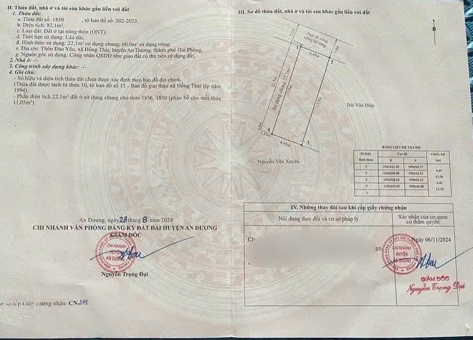 Đất lô góc 60m² Đào Yêu 1 - Kinh doanh sầm uất ngay đường 351!