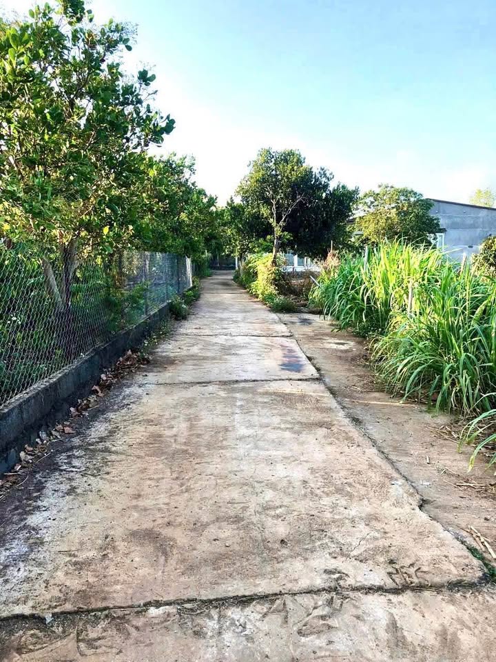 Lô đất nhà vườn Hòa Khánh 650m² giá 1.975 tỷ - Pháp lý sổ hồng rõ ràng!