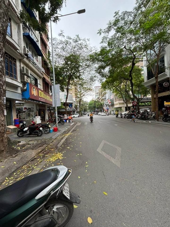 FrontHouse Tuệ Tĩnh, Hai Bà Trưng - 81m² giá nhỉnh 30 tỷ - Vị trí đắc địa, kinh doanh thuận lợi!