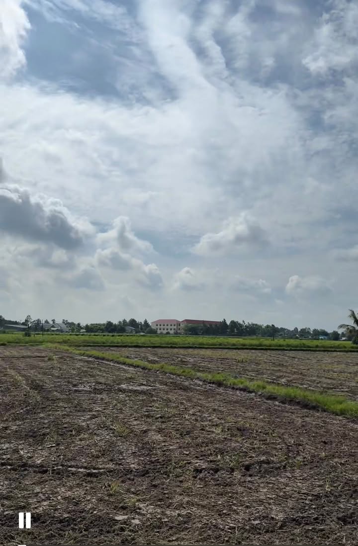 Đất nền 185m² ấp Bảo, xã Long Thuận, Tây Ninh - Giá chỉ 390 triệu, sổ hồng chính chủ!