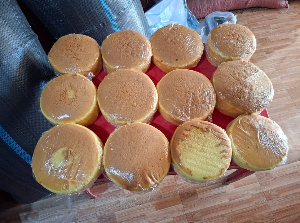 Đất vườn 1,5 ha hẻm 343 Đoàn Thị Điểm Bảo Lộc - Giá chỉ 600 triệu