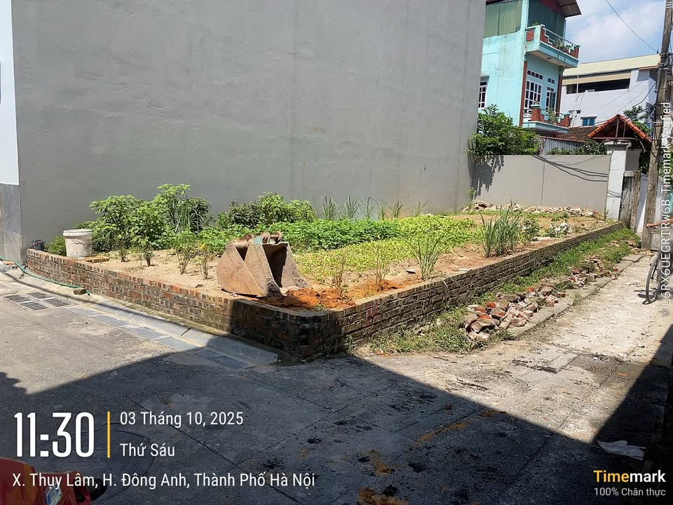 Đất nền lô góc 64.4m² tại Thôn Mạnh Tân, Đông Anh - Giá chỉ 600 triệu