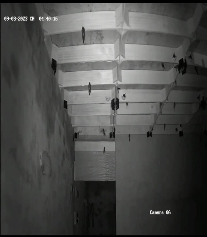 Căn nhà Yến tại Đắk Ơ, Bù Gia Mập 1340m² giá 2 tỷ - Cơ hội đầu tư tuyệt vời!