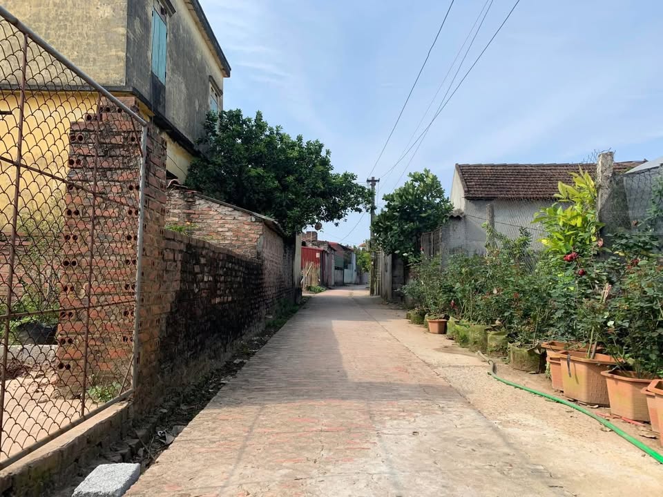 Đất nền 100m² tại Ấp Bá Khê, Văn Giang giá 4 tỷ - Lợi nhuận cao từ đầu tư!