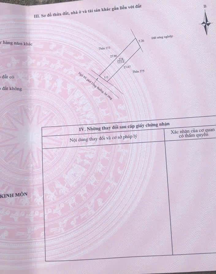 Lô đất mặt tiền 5m tại phường Thái Thịnh, Kinh Môn - Giá chỉ 800 triệu