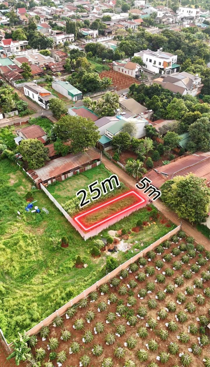 Đất nền liền kề đường K, Buôn Ma Thuột 250m² giá 1.35 tỷ - Sổ đỏ chính chủ!