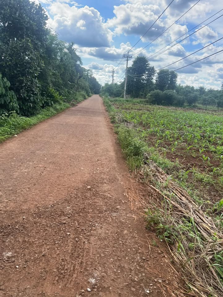 Đất nền Cư M'gar Đắk Lắk 130m² giá chỉ 100 triệu - Sổ đỏ chính chủ