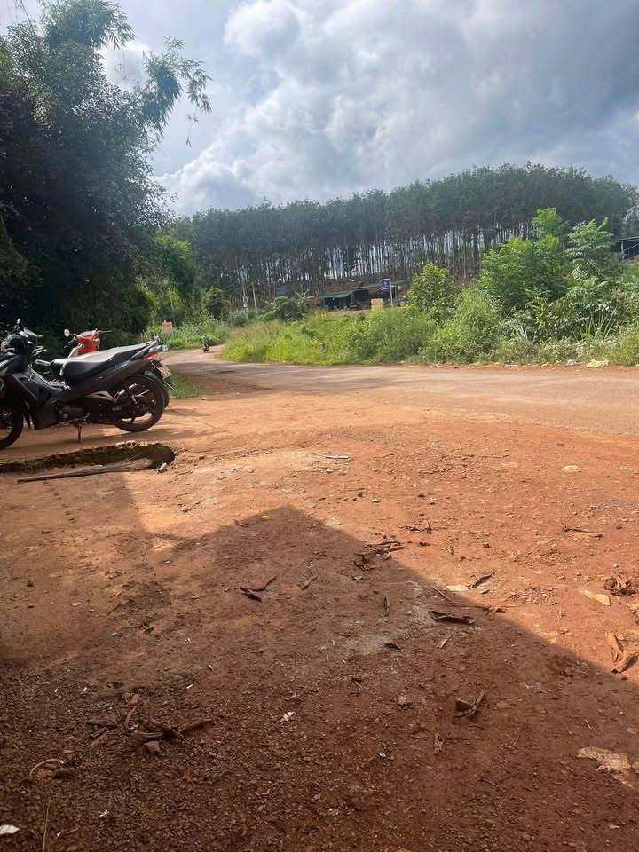 Đất nền 5 sào tại Tân Thành, Krông Nô, Đắk Nông - Giá chỉ 5.5 tỷ, mặt tiền đường nhựa rộng rãi!