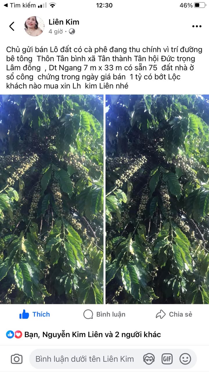 Đất nền chính chủ Tân Hội 231m² giá 1 tỷ - Cơ hội đầu tư tuyệt vời!