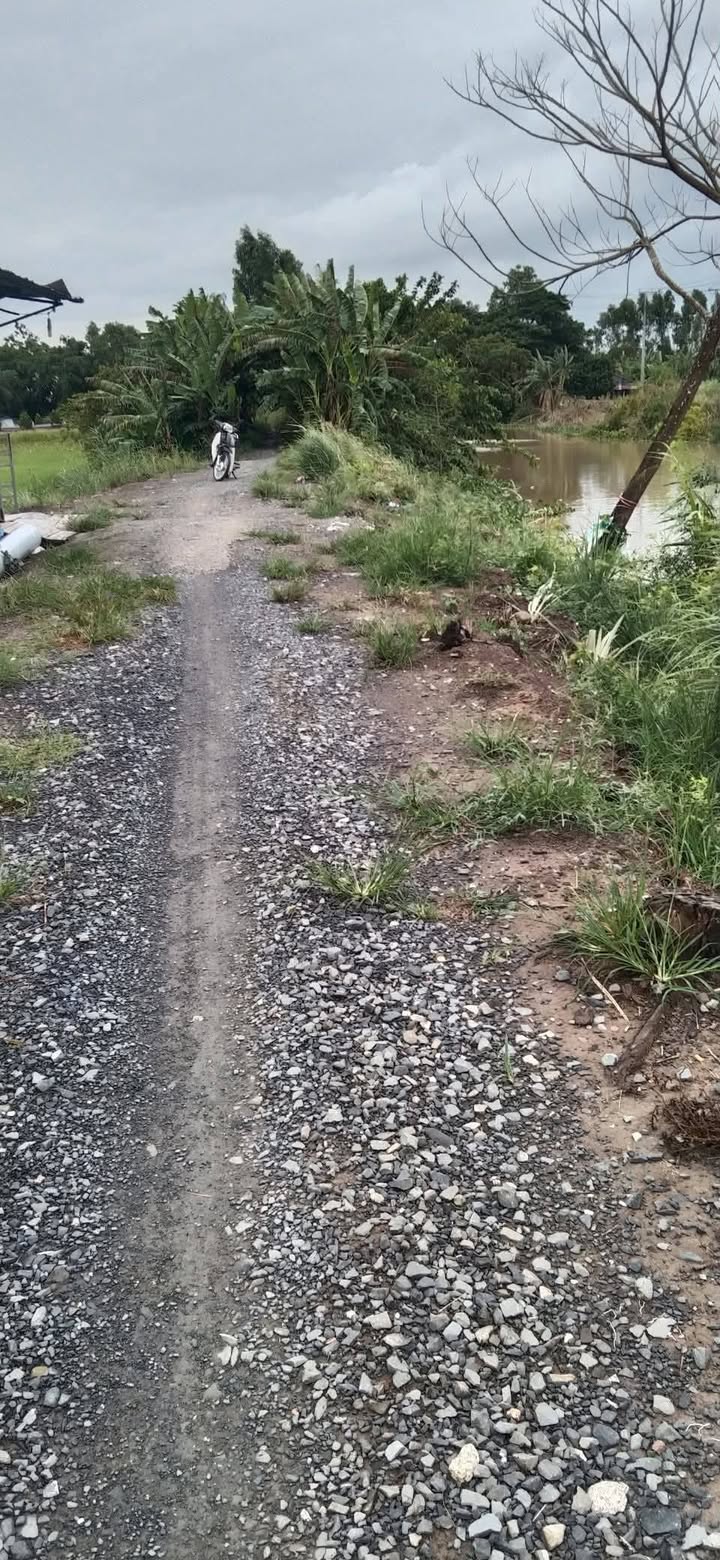 Đất Farm 14 Công Tại Xã Ba Sao, Huyện Cao Lãnh - Giá 3.5 Tỷ - Cơ Hội Đầu Tư Hiếm Có!