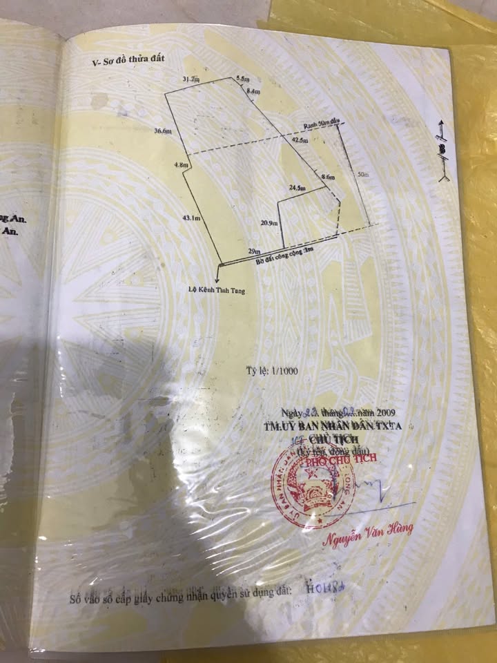 Đất nền 1.000m² tại xã An Vĩnh Ngãi, Tân An - Giá chỉ 1.1 tỷ, sổ hồng trao tay!