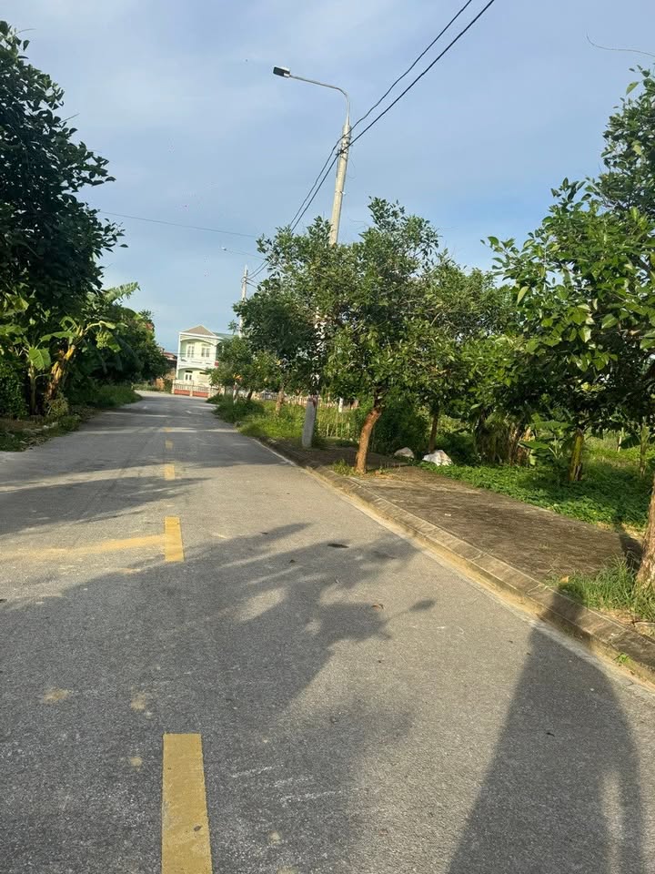 Đất thổ cư 112m² xã Yên Thọ, Ý Yên, Nam Định - Giá chỉ 1.2 tỷ!