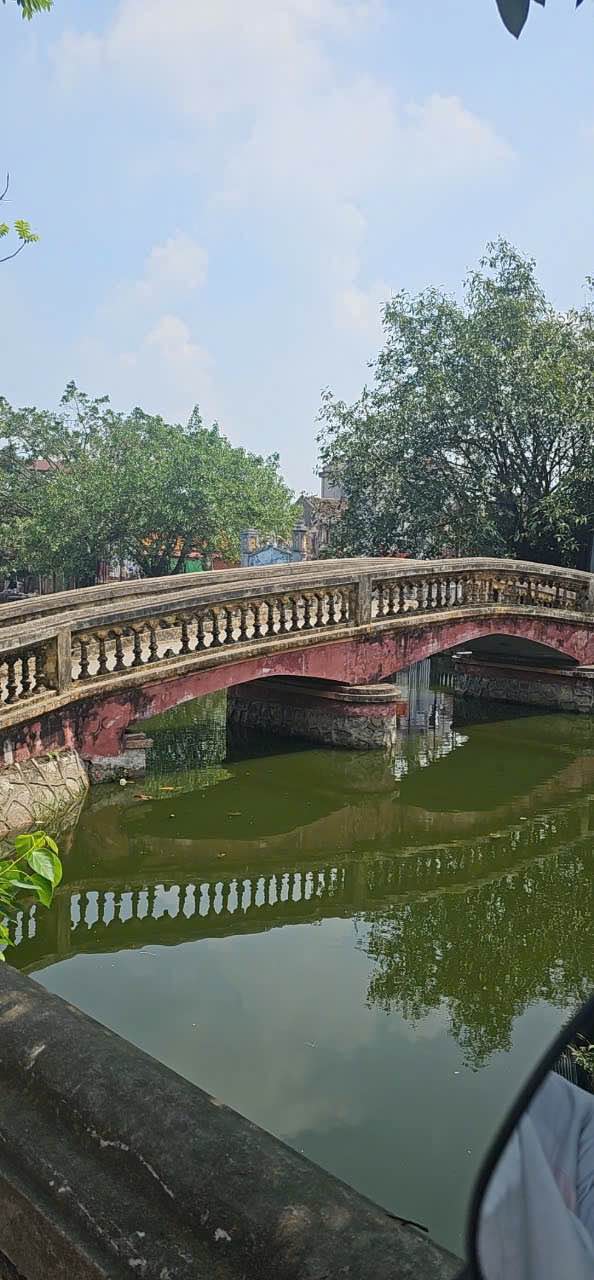 Đất nền vuông vắn 50m² tại Khu phố Mai Động, Từ Sơn - Giá chỉ 1.2 tỷ!