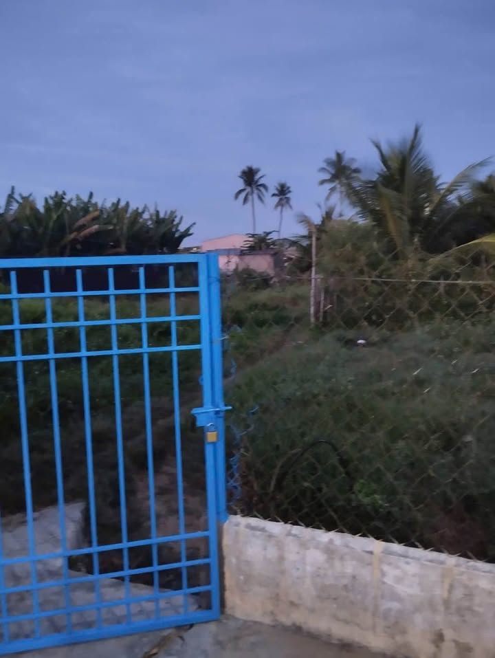 Nhà cho thuê Đường Đổng Dậu, Phan Rang-Tháp Chàm 50m² chỉ 1.3 triệu - Không gian sống lý tưởng!