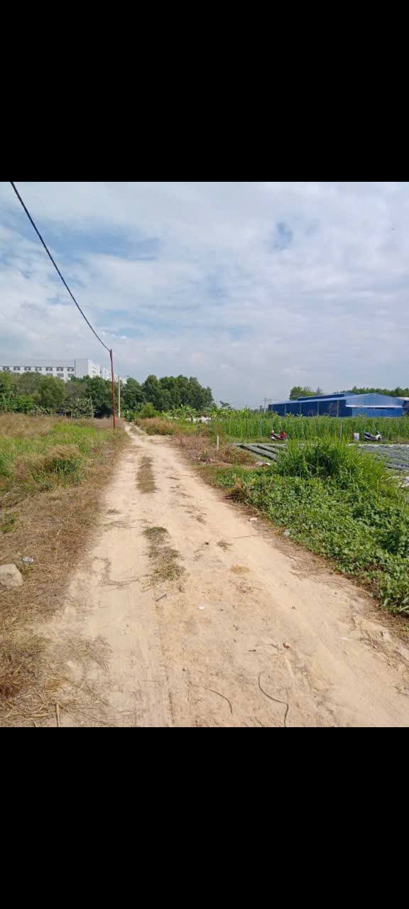 Đất Farm 1000m² tại Khánh Bình, Tân Uyên giá 3 tỷ - Cơ hội đầu tư hấp dẫn!