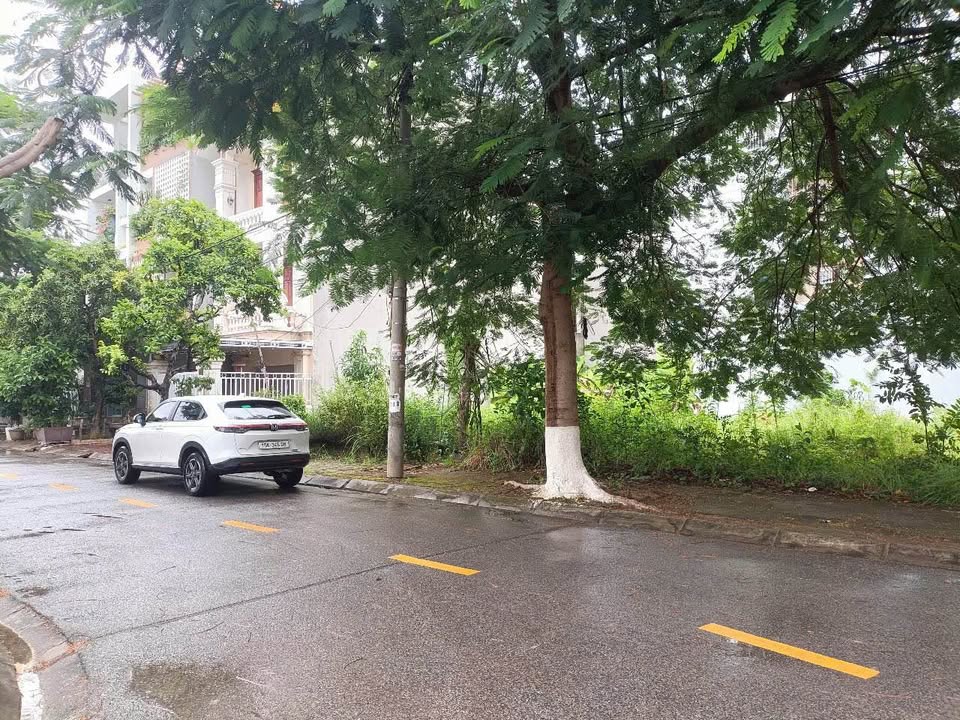 Đất dự án Sao Đỏ Anh Dũng 300m² giá chỉ 12.9 tỷ - Cơ hội vàng đầu tư!