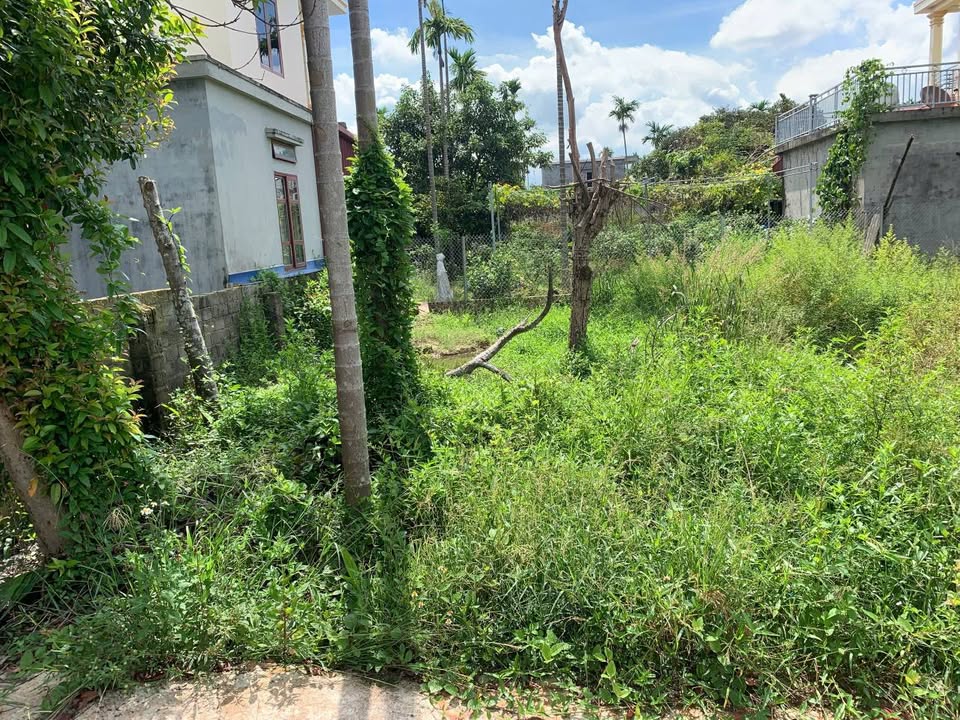 Đất nền Hồng Thái, An Dương 60m² giá 1 tỷ - Cơ hội đầu tư hấp dẫn!