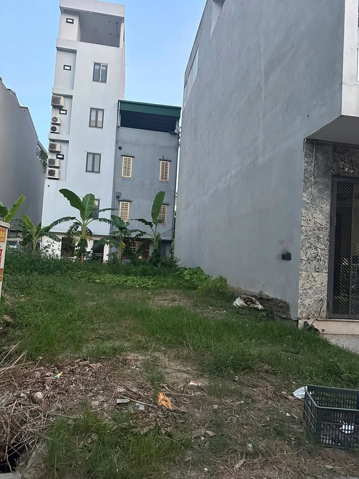 Đất nền Đình Bảng Từ Sơn 96m² - Giá tốt, vị trí thuận lợi!