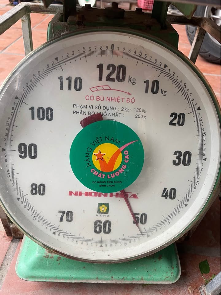 Đất nền đẹp tại ngõ 369 Đằng Hải 61m² giá 2.448 tỷ - Tiện ích ngập tràn!