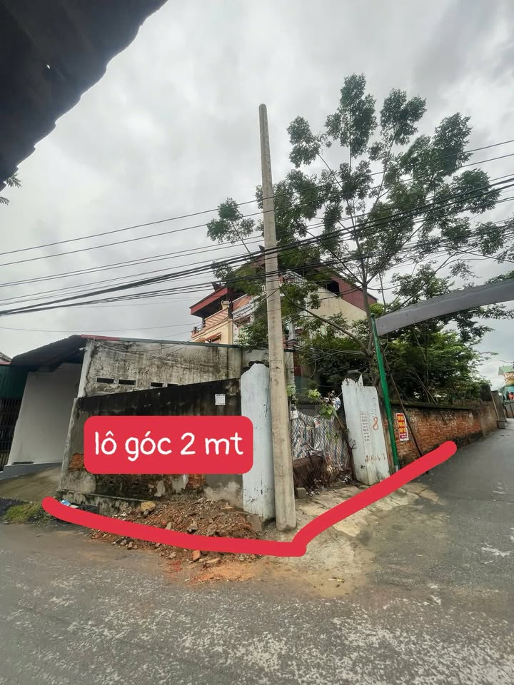 Đất nền lô góc 2 mặt tiền đường Bá Cầu, 123m² giá 2.5 tỷ - Đầu tư kinh doanh siêu lợi nhuận!