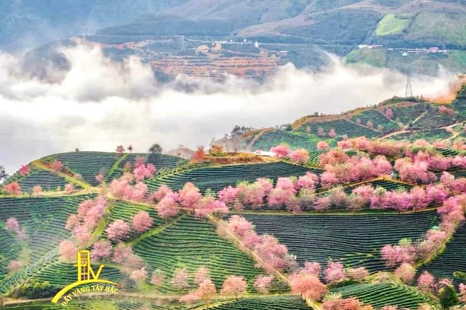 Đất nền Ô Quý Hồ, Sapa 400m² giá 10.5 tỷ - Cơ hội đầu tư tuyệt vời!