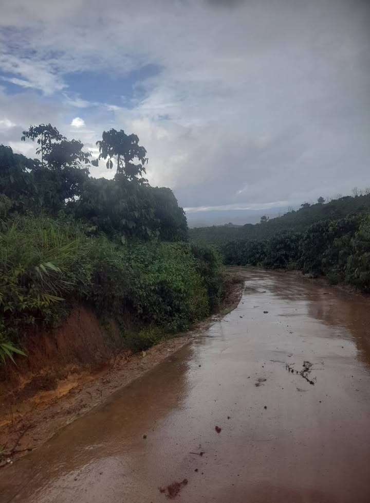 Đất nông nghiệp Phú Sơn Lâm Hà 4.3ha giá chỉ 6.237 tỷ - Pháp lý sổ hồng chính chủ!