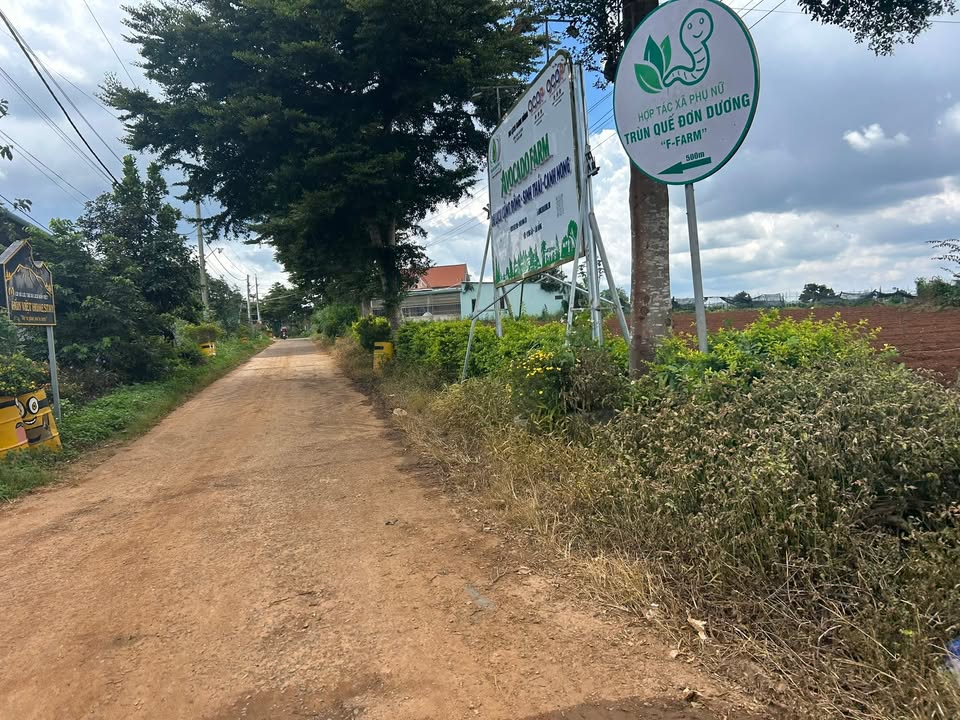 Nhà nguyên căn tại Quảng Lập, Lâm Đồng 480m² giá 1.92 tỷ - Nhà mới đẹp, sẵn thổ cư!