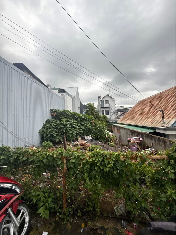 Đất sổ riêng xây dựng Đường Nguyễn Trung Trực Đà Lạt 126,45m² giá 4,5 tỷ - Đầu tư sinh lời ngay!