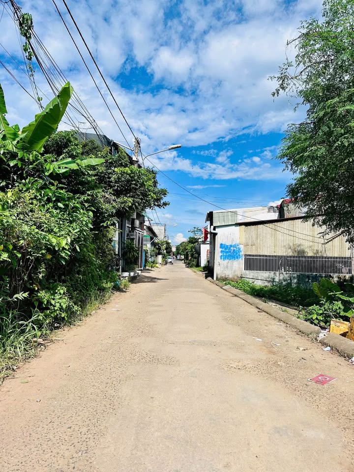 Đất mặt tiền Lê Minh Xuân, Tân Lập, 118m² giá 2.939 tỷ - Đầu tư sinh lời ngay!