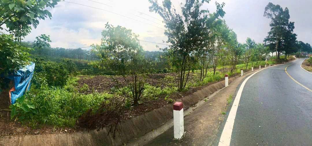 Đất mặt tiền Quốc lộ 20, phường Xuân Trường, Đà Lạt - Diện tích 11,242.40m², pháp lý rõ ràng!