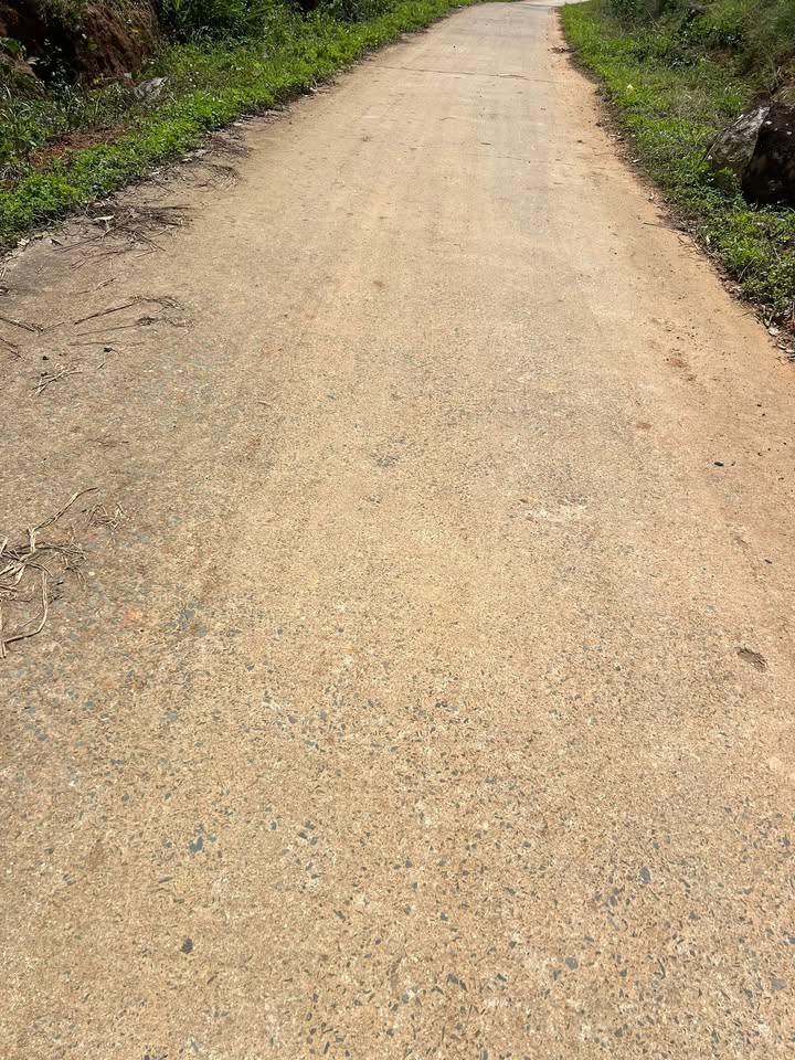 Đất nông nghiệp Đam Rông 2ha giá 3.5 tỷ - Sổ đỏ chính chủ, mặt tiền đường bê tông