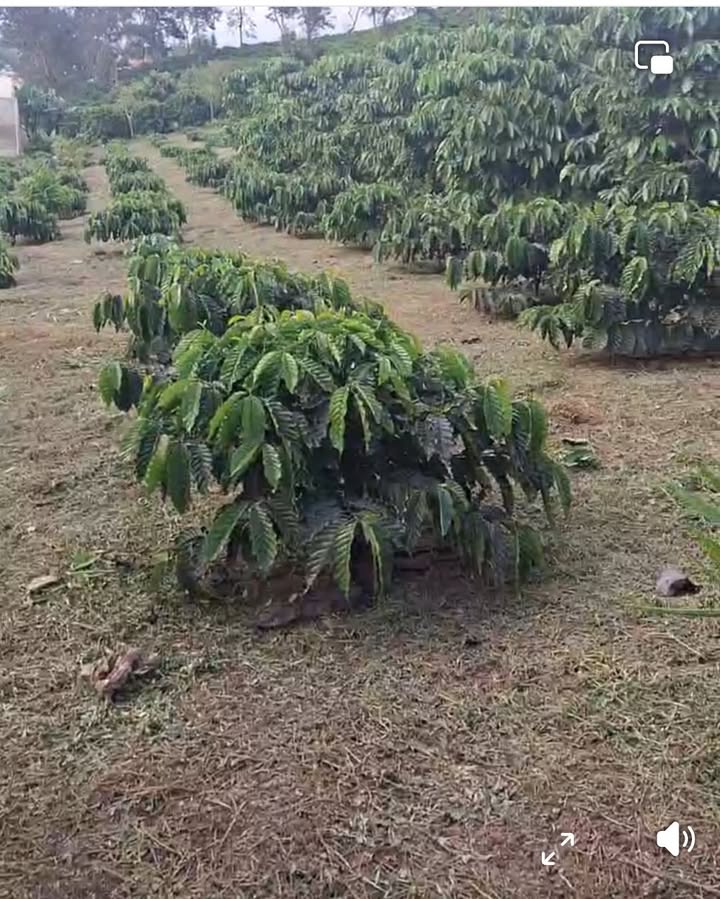 Đất nền Cam Ly Đà Lạt 368m² - Đầu tư nghỉ dưỡng lý tưởng!