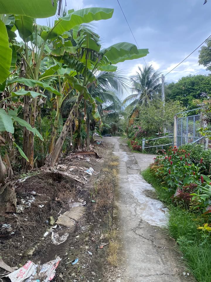 Đất vườn 1000m² Phước Thạnh, Mỹ Tho giá 2 tỷ - Sổ đỏ chính chủ, thương lượng!