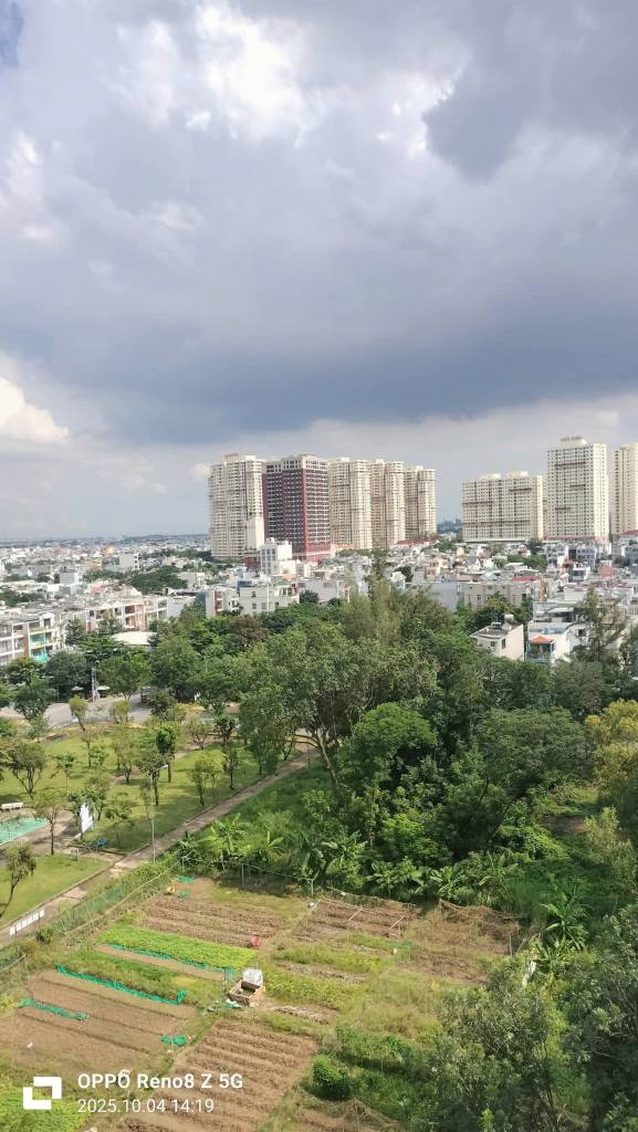 Căn hộ Belleza Quận 7 46m² giá chỉ 6 triệu - Sẵn sàng vào ở ngay!