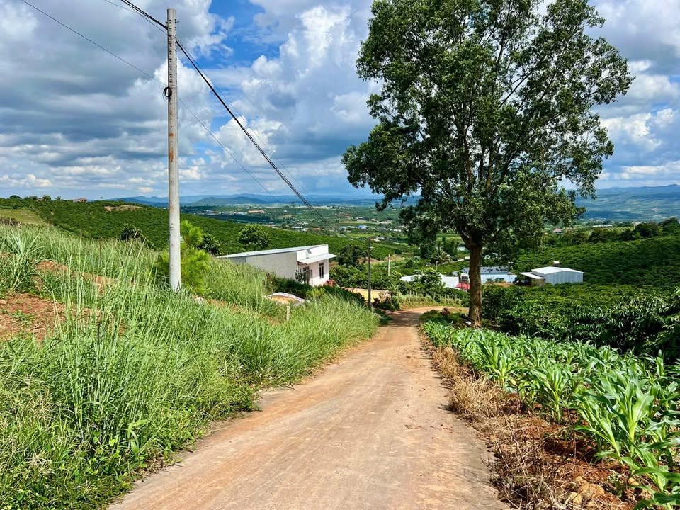 Đất nền Đan Phượng, Lâm Hà 400m² giá 480 triệu - Sổ đỏ chính chủ, cơ hội đầu tư tuyệt vời!