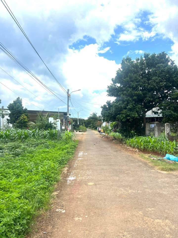 Đất nền Tân An Buôn Ma Thuột 125m² giá 1.15 tỷ - Đầu tư sinh lời nhanh!