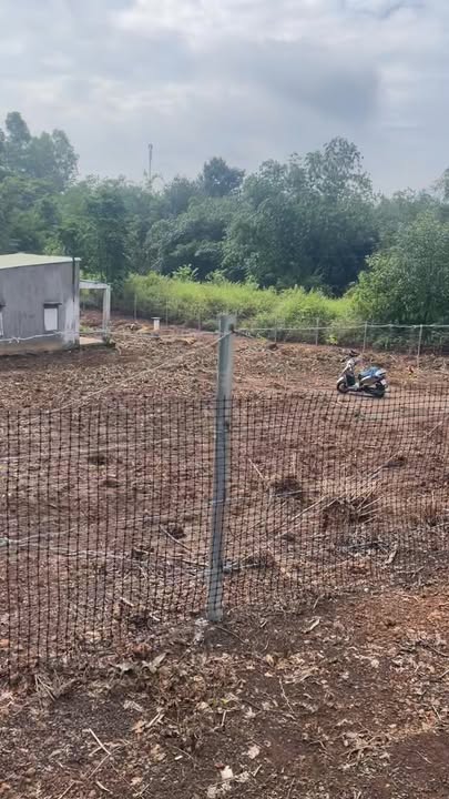 Lô đất nhà vườn 2030m² tại Tiến Thành, Đồng Xoài - Mặt tiền đường nhựa, giá thỏa thuận!