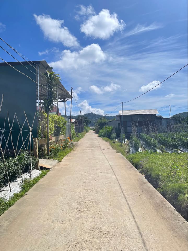 Đất nghỉ dưỡng tại thị trấn D'Ran 1857m² giá 3.2 tỷ - Pháp lý rõ ràng, tiện ích đầy đủ!