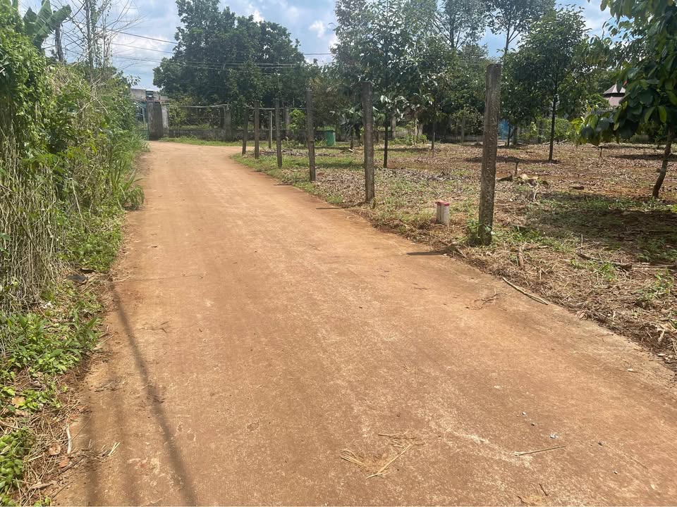 Đất nền 125m² tại Bình Lộc, Long Khánh chỉ 840 triệu - Sổ đỏ chính chủ!