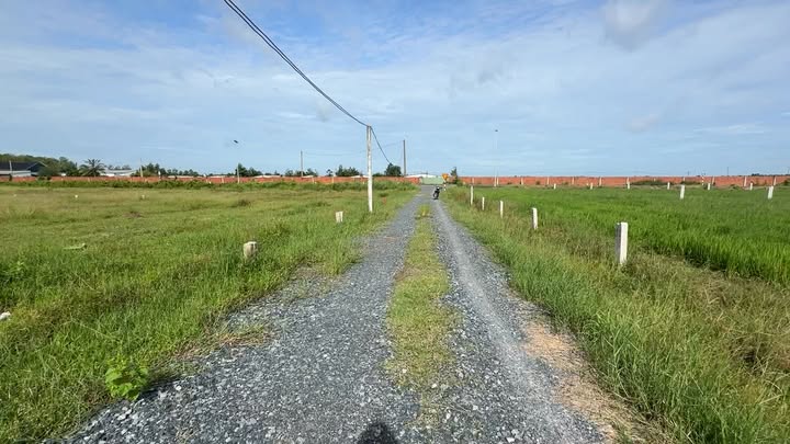 Đất nền Ấp Long Hòa, Bến Cầu 220m² giá 250 triệu - Sổ hồng riêng sẵn sàng công chứng!