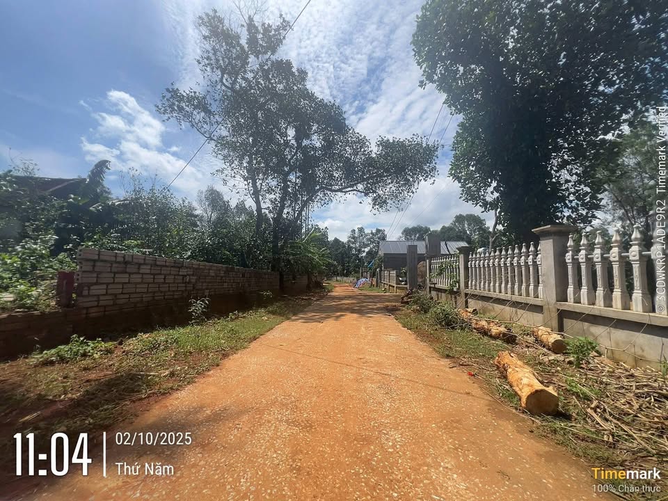 Đất thổ cư 125m² Thôn 3 Thọ Tân - Giá chỉ 200 triệu - Đường rộng ô tô tránh nhau!