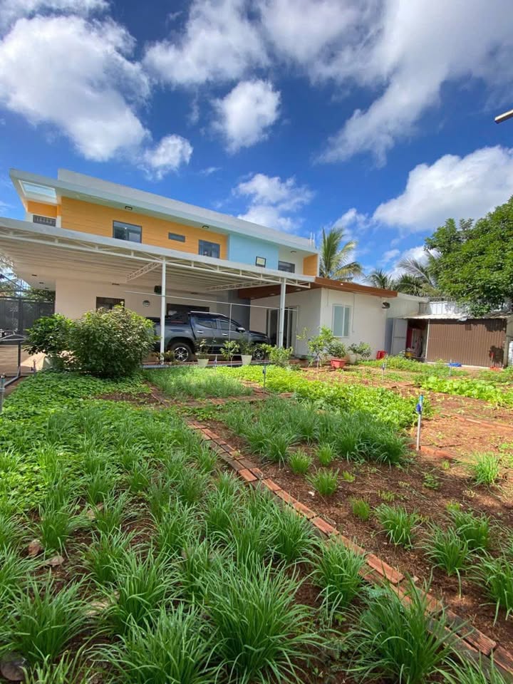 Nhà vườn Hẻm 451 Y Moan, Buôn Ma Thuột 758m² giá 7 tỷ - Không gian sống lý tưởng!