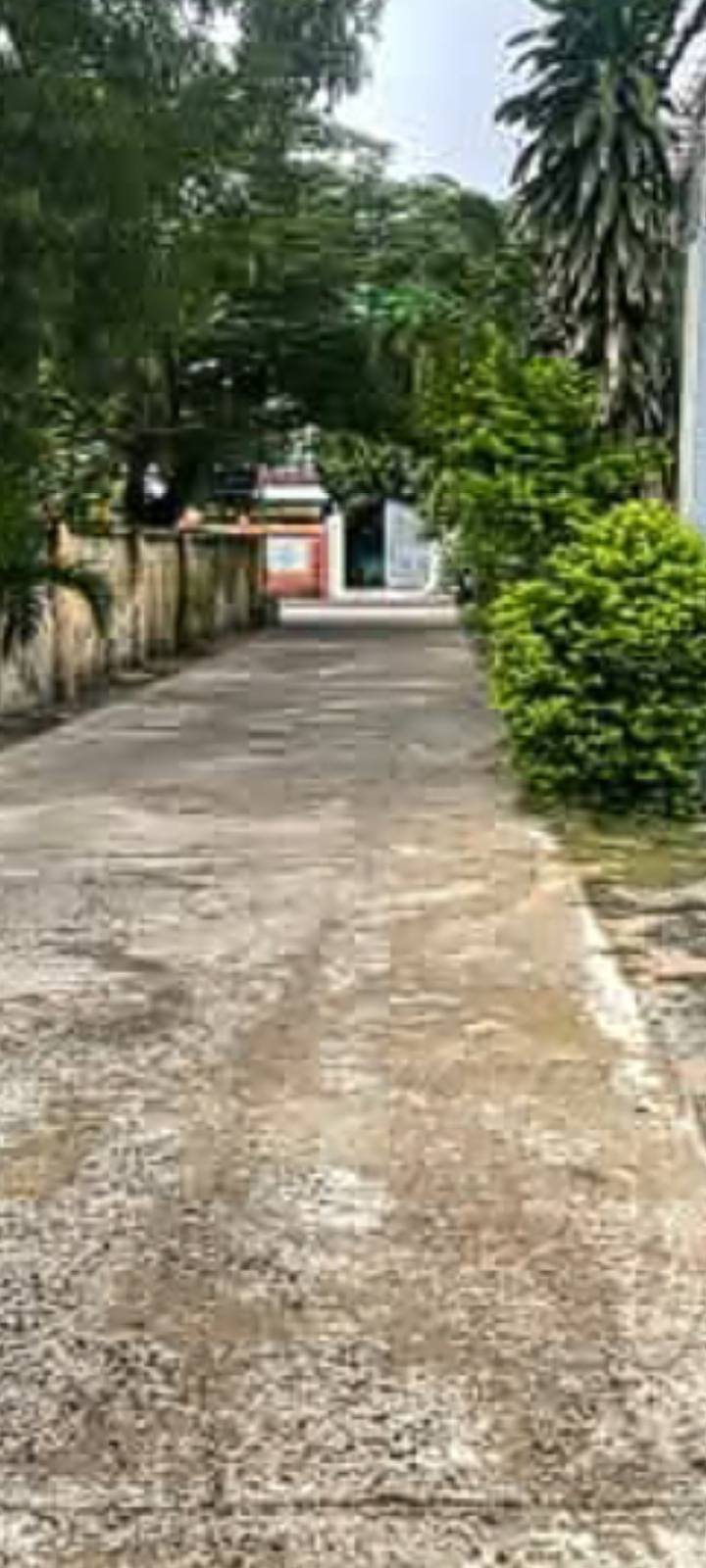 Đất nền đường Trần Văn Ơn, phường Phú Lâm 175m² - Cơ hội đầu tư tuyệt vời!