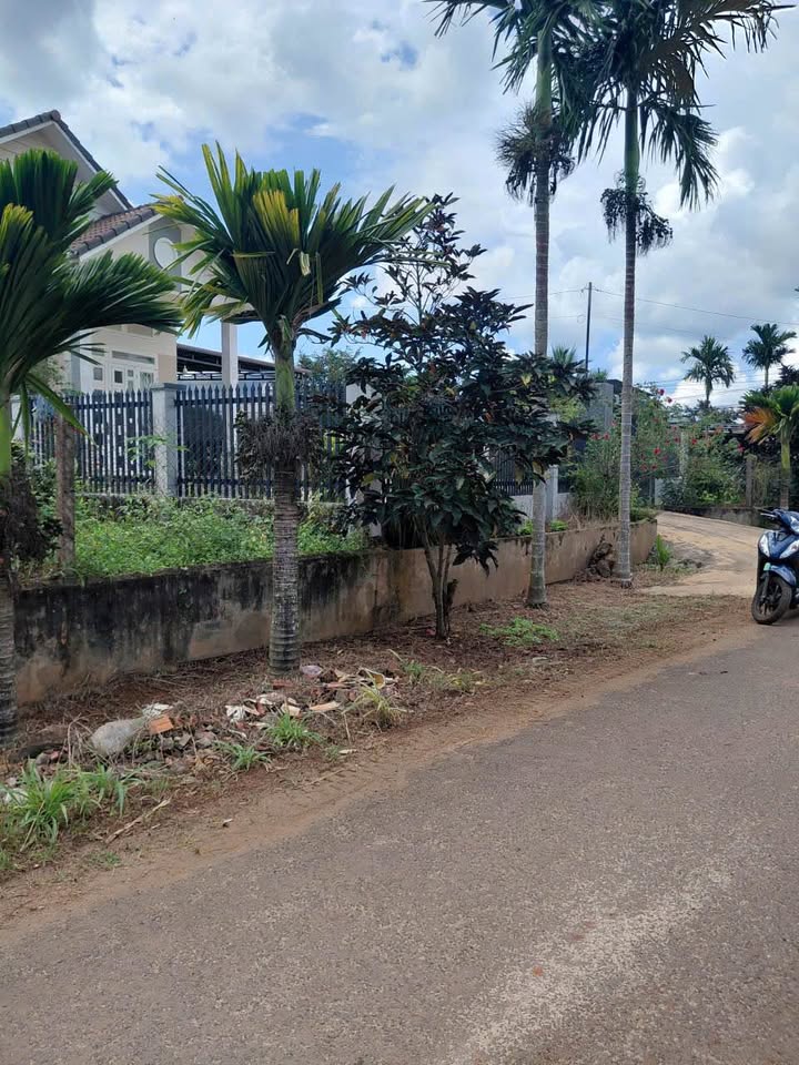 Đất nền khu phố 4, phường Ea Kao, Buôn Ma Thuột 145m² giá 850 triệu - Cơ hội đầu tư hấp dẫn!