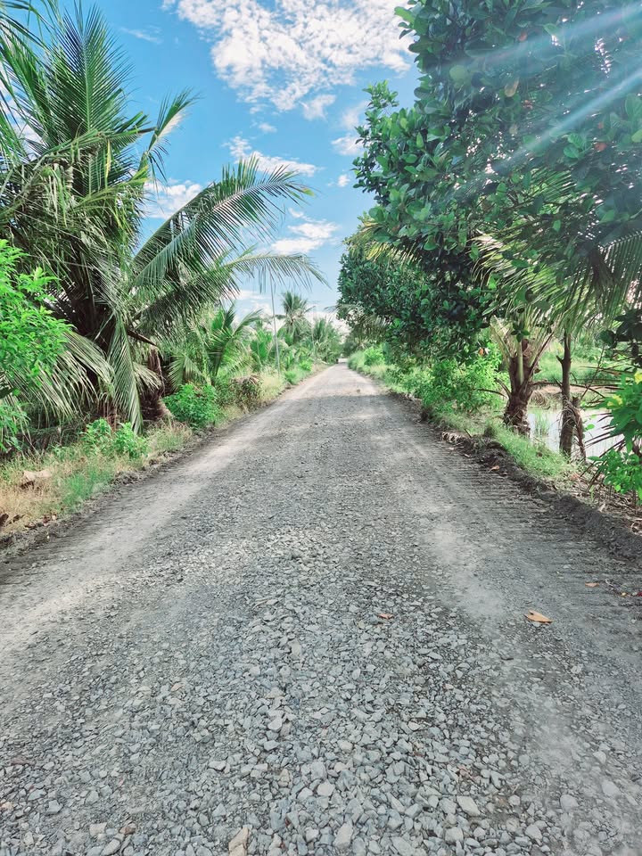 Đất thổ cư Hựu Thạnh 120m² giá chỉ 339 triệu - Cơ hội đầu tư hấp dẫn!