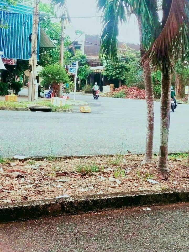 Đất nền mặt tiền đường Lê Trọng Tấn, Mỹ Phước, Long Xuyên 96.8m² giá 5 tỷ - Cơ hội đầu tư sinh lời!