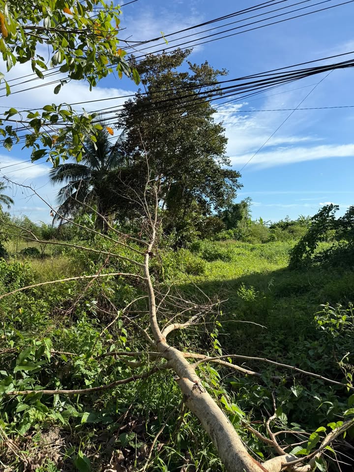 Đất nền Thạnh Đông, Tân Hiệp 1020m² giá 984 triệu - Đầu tư tuyệt vời!