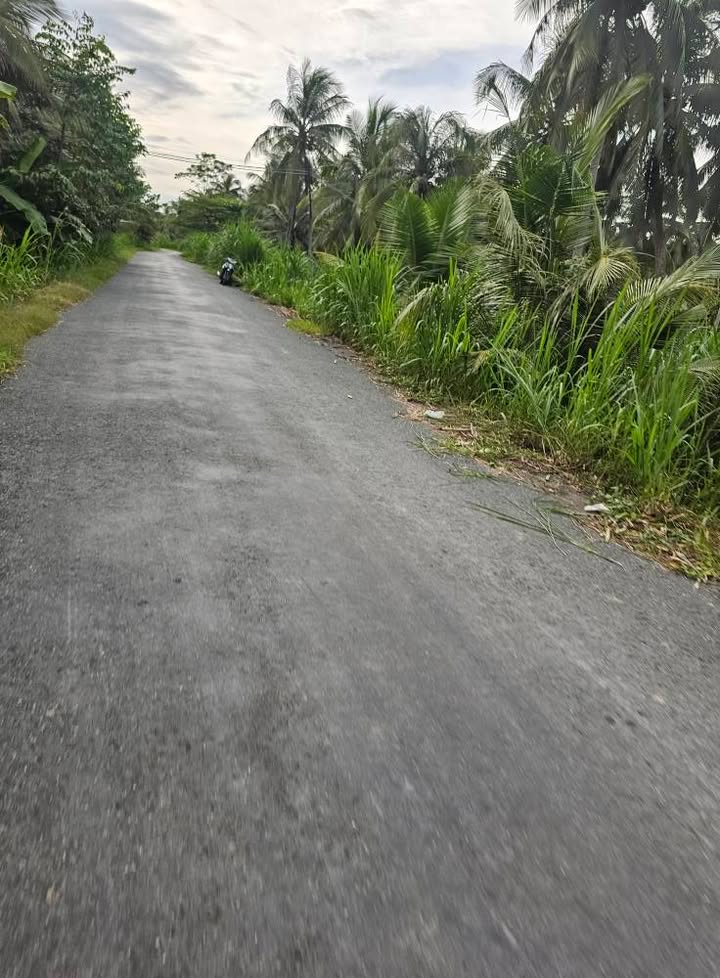 Đất nền 609m² tại xã Lộc Thuận, Vĩnh Long - Giá chỉ 450 triệu!